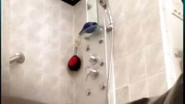 નાજુક ઓરત 
