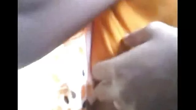 સુંદર સેકસી વીડીયો ફુલ બીપી યુવાન સેક્સ
