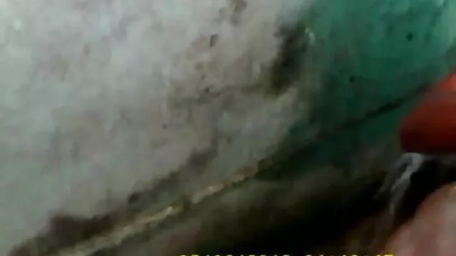 હોમમેઇડ પોર્ન ત્રીપલ એક્સ એક્સ વીડીયો બીપી