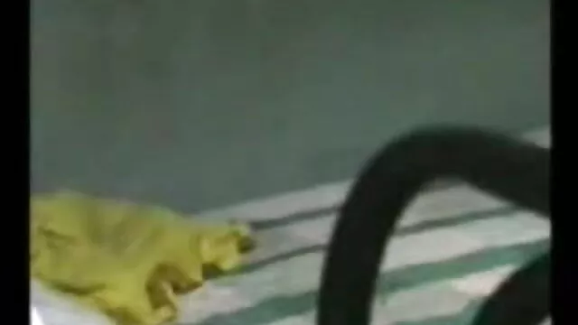 તોફાની માલિસ નિષ્ણાત બીપી વીડીયો સેકસી એચડી