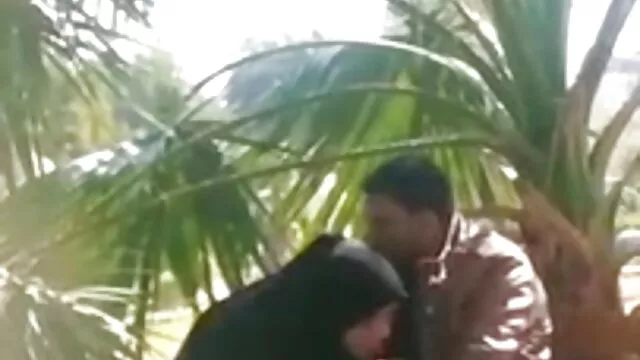 પાર્કિંગ