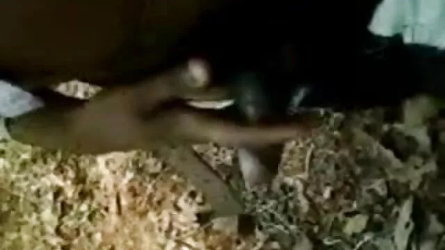 સેક્સ સાથે જનાવરના બીપી બે ગાય્ઝ પર આ યાટ