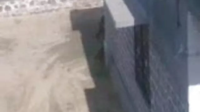 પહેલાં ઓપન બીપી પીચર તેના પિતાની આંખો.