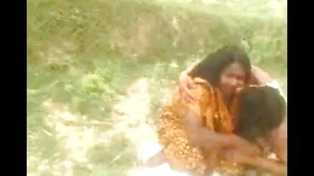 કમ ઇંગલિશ ઓપન પીચર માં ભોસ ના યુવાન સુંદરતા