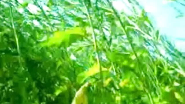 રાંડ આપે છે blowjob કરવા માટે ત્રણ ખેડૂતો જંગલ માં. બીપી સેકસી વીડીયો બતાવો