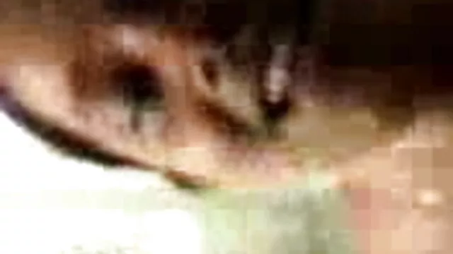 તે બીપી વીડીયા સેકસી છે