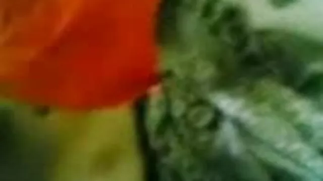 આ સેકસી બીપી ચૌદવાનુ આજ્ઞાકારી ગુલામ ભગવાન