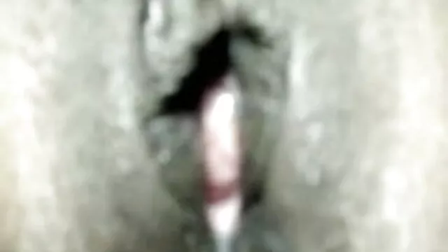 પોર્ન તાલીમ બીપી જાનવર